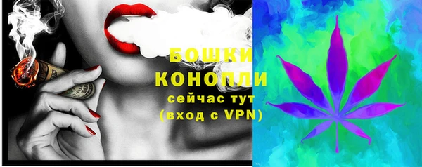 стаф Козловка