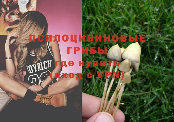 стаф Козловка