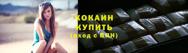 стаф Козловка