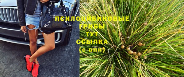 стаф Козловка
