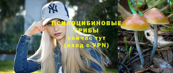 стаф Козловка