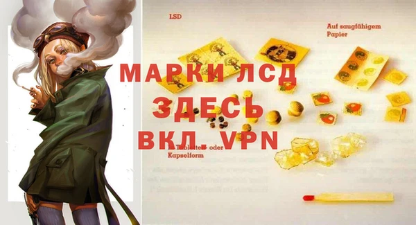 стаф Козловка