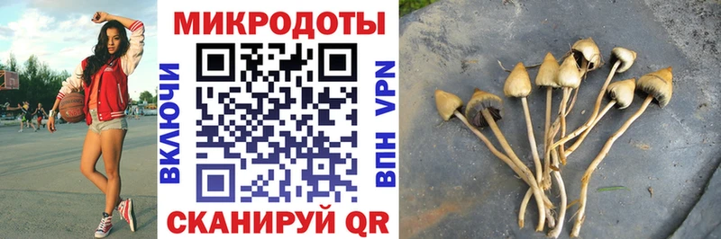 Псилоцибиновые грибы Psilocybine cubensis  Купить  Оса 